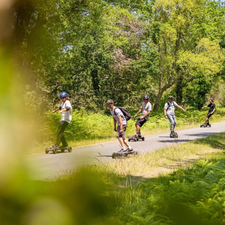 skate elec