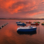 pedalo